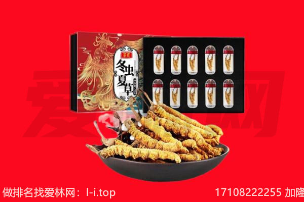 哈尔滨松北回收虫草.jpg